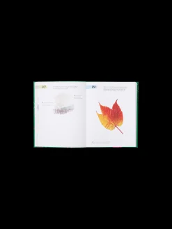 Søstrene Grene Schweiz Coffee Table Books<365 Days Of Creativity