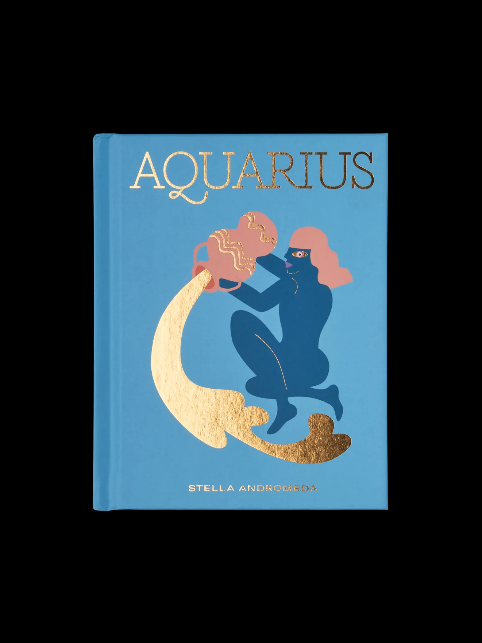 Søstrene Grene Schweiz Coffee Table Books<Aquarius