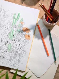 Søstrene Grene Schweiz Coffee Table Books<Beautiful Planet Malbuch