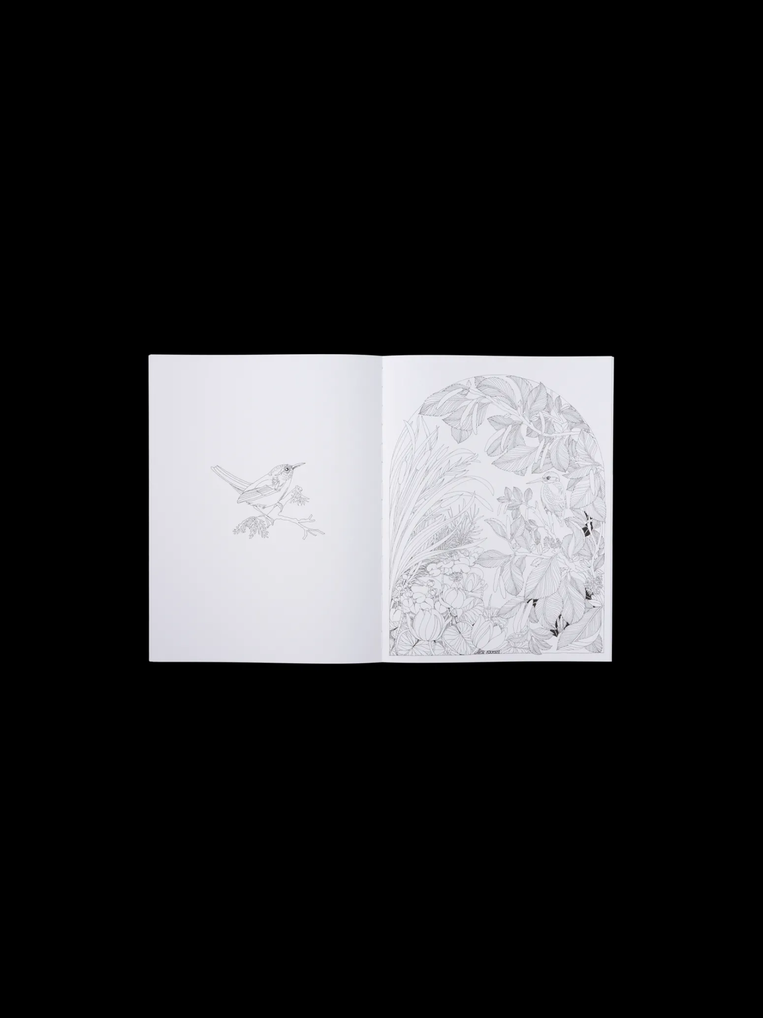 Søstrene Grene Schweiz Coffee Table Books<Beautiful Planet Malbuch