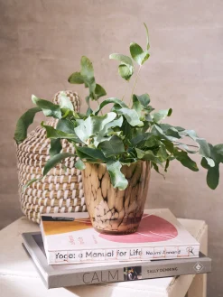 Søstrene Grene Schweiz Vasen Und Blumentöpfe<Übertopf