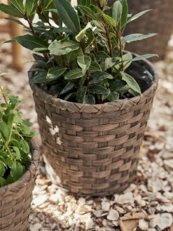 Søstrene Grene Schweiz Vasen Und Blumentöpfe|Garten Und Balkon<Übertopf