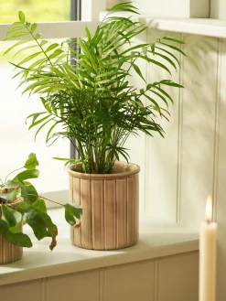 Søstrene Grene Schweiz Vasen Und Blumentöpfe<Übertopf