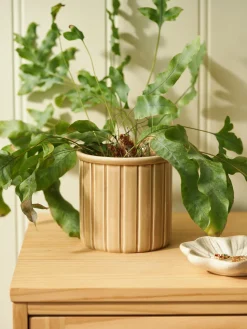 Søstrene Grene Schweiz Vasen Und Blumentöpfe<Übertopf