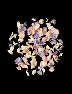 Søstrene Grene Schweiz Partydeko|Tischdecken<Biologisch Abbaubares Blumenkonfetti