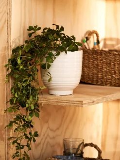 Søstrene Grene Schweiz Vasen Und Blumentöpfe<Blumentopf