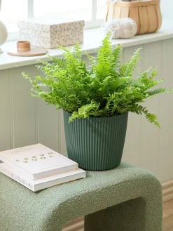 Søstrene Grene Schweiz Vasen Und Blumentöpfe<Blumentopf Milly Ø23,6 Cm