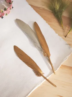 Søstrene Grene Schweiz Dekoration<Federn