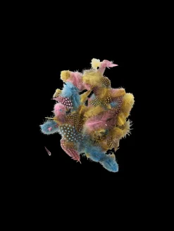 Søstrene Grene Schweiz Dekoration<Federn