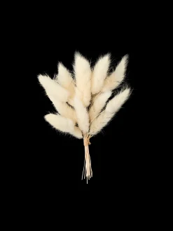 Søstrene Grene Schweiz Dekoration<Hasenschwänzchen Zum Basteln