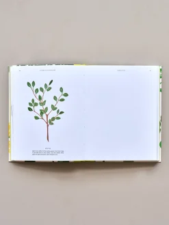 Søstrene Grene Schweiz Coffee Table Books<15-Minute Art Painting