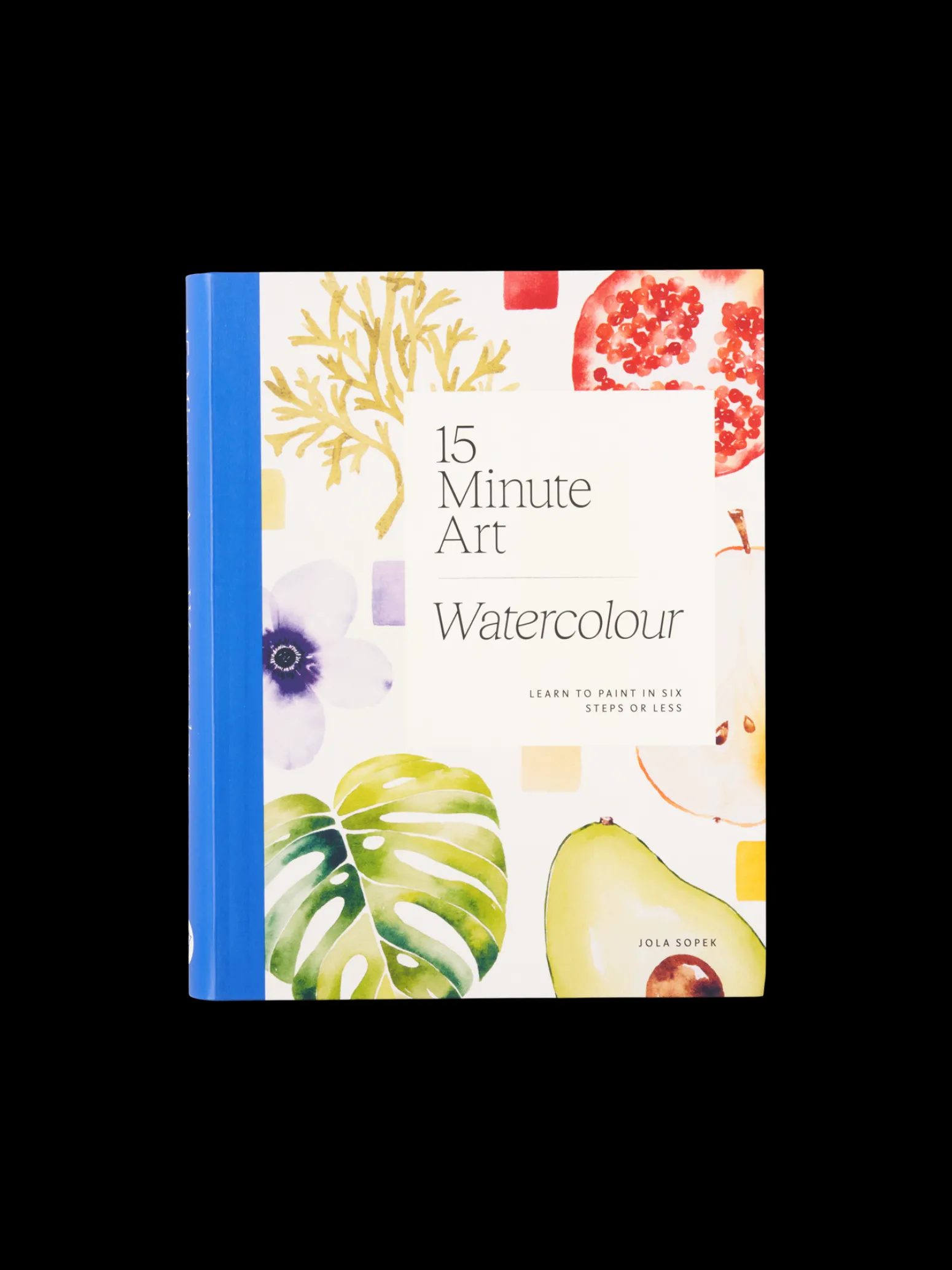 Søstrene Grene Schweiz Coffee Table Books<15-Minute Art Painting