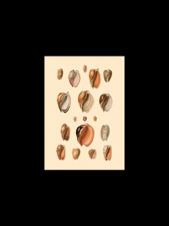 Søstrene Grene Schweiz Rahmen Und Poster<Poster 15 X 21