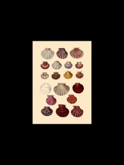 Søstrene Grene Schweiz Rahmen Und Poster<Poster 15 X 21