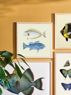 Søstrene Grene Schweiz Rahmen Und Poster<Poster 24 X 24