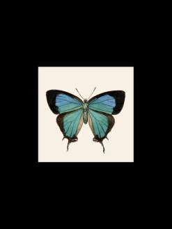 Søstrene Grene Schweiz Rahmen Und Poster<Poster 24 X 24