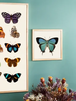 Søstrene Grene Schweiz Rahmen Und Poster<Poster 24 X 24