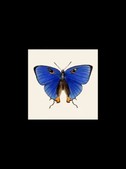 Søstrene Grene Schweiz Rahmen Und Poster<Poster 24 X 24