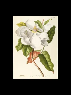 Søstrene Grene Schweiz Rahmen Und Poster<Poster 50 X 70