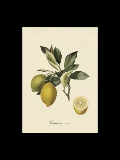 Søstrene Grene Schweiz Rahmen Und Poster<Poster 50 X 70