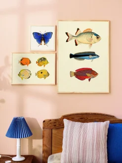 Søstrene Grene Schweiz Rahmen Und Poster<Poster 50 X 70