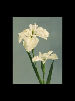 Søstrene Grene Schweiz Rahmen Und Poster<Poster 50 X 70