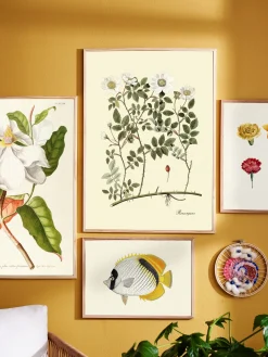 Søstrene Grene Schweiz Rahmen Und Poster<Poster 50 X 70