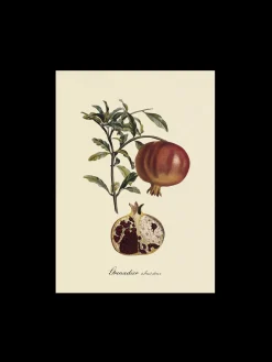 Søstrene Grene Schweiz Rahmen Und Poster<Poster A3