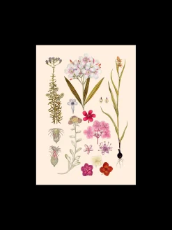 Søstrene Grene Schweiz Rahmen Und Poster<Poster A3