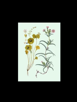 Søstrene Grene Schweiz Rahmen Und Poster<Poster A3