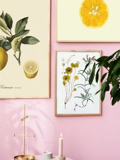 Søstrene Grene Schweiz Rahmen Und Poster<Poster A3