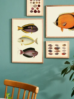 Søstrene Grene Schweiz Rahmen Und Poster<Poster A3