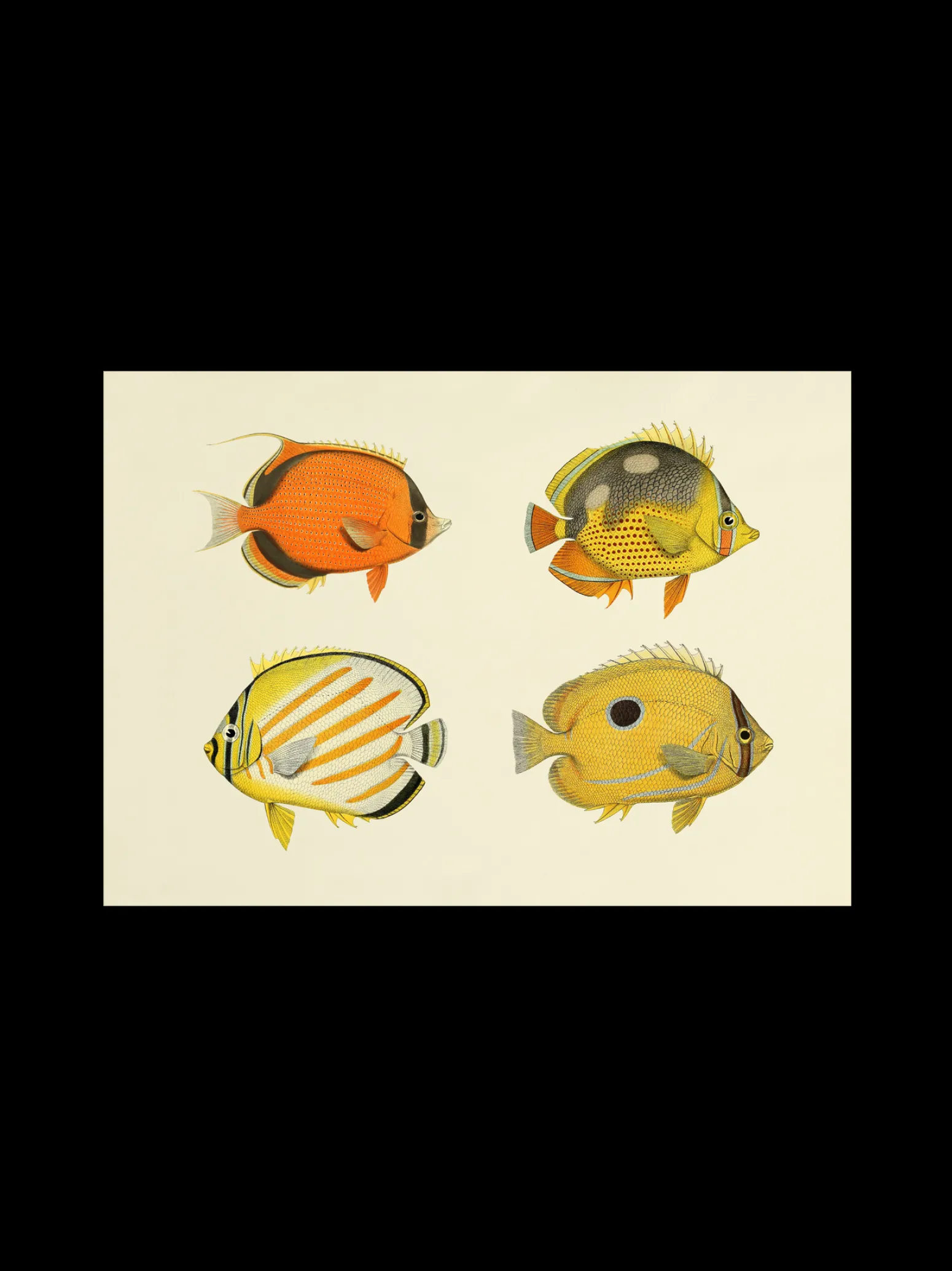 Søstrene Grene Schweiz Rahmen Und Poster<Poster A3