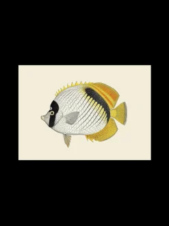 Søstrene Grene Schweiz Rahmen Und Poster<Poster A3