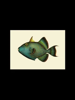 Søstrene Grene Schweiz Rahmen Und Poster<Poster A3