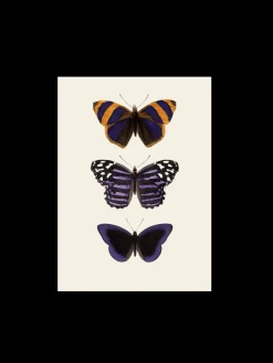 Søstrene Grene Schweiz Rahmen Und Poster<Poster A3