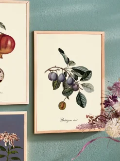 Søstrene Grene Schweiz Rahmen Und Poster<Poster A3