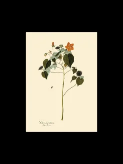 Søstrene Grene Schweiz Rahmen Und Poster<Poster A3