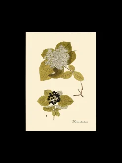 Søstrene Grene Schweiz Rahmen Und Poster<Poster A3