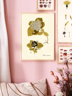 Søstrene Grene Schweiz Rahmen Und Poster<Poster A3