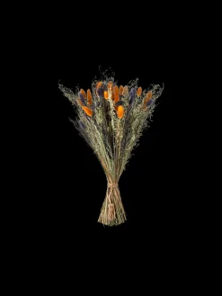 Søstrene Grene Schweiz Dekoration<Trockenblumen Blue Klein