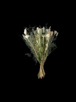 Søstrene Grene Schweiz Dekoration<Trockenblumen Iceberg Klein