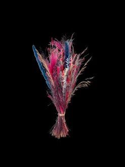 Søstrene Grene Schweiz Dekoration<Trockenblumen Pink Medium