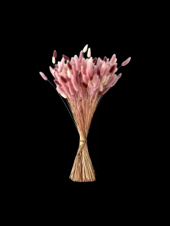 Søstrene Grene Schweiz Dekoration<Trockenblumen Pudder Medium