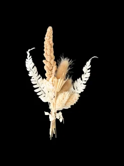 Søstrene Grene Schweiz Dekoration<Trockenblumen Zum Basteln