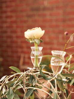 Søstrene Grene Schweiz Vasen Und Blumentöpfe<Vasen Mit Clip 3er-Pack